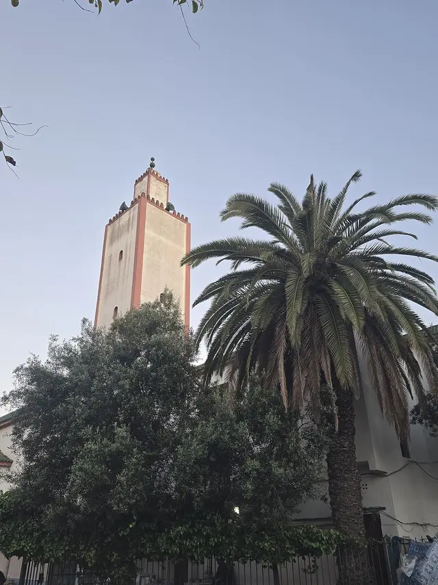 Mosque Al Mohssinine