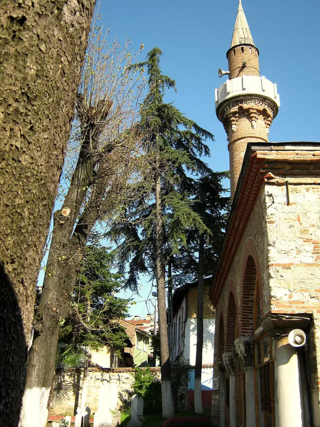 Alaeddin Pasha Mosque