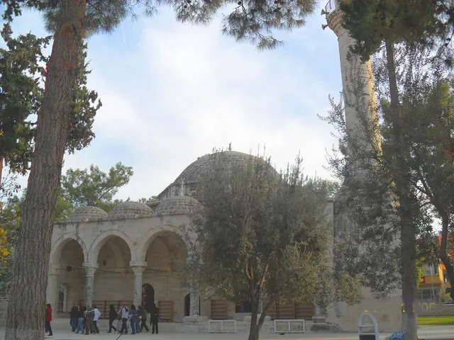 Laal Pasha Mosque
