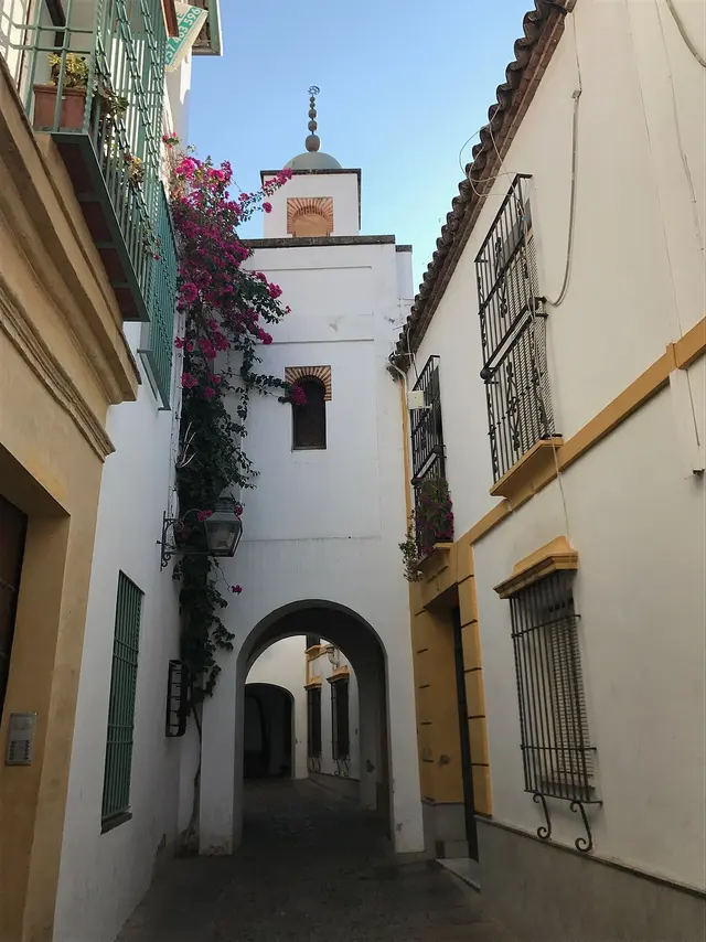 Andaluces Mosque