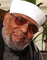 Muhammad Metwally Al Shaarawy