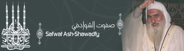 Safwat Ash-Shawadfy